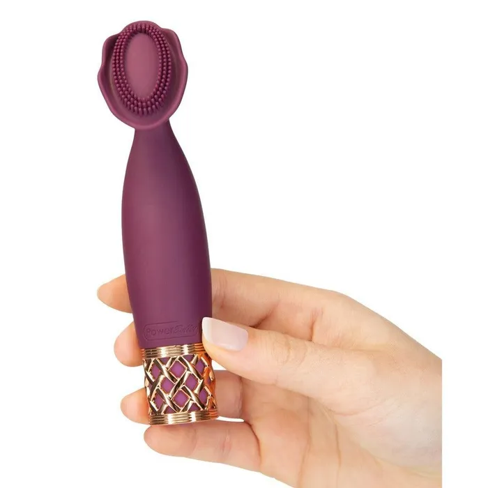 BMS Enterprises Female Sex Toys | Pillow Talk Secrets Passion Mini Massager
