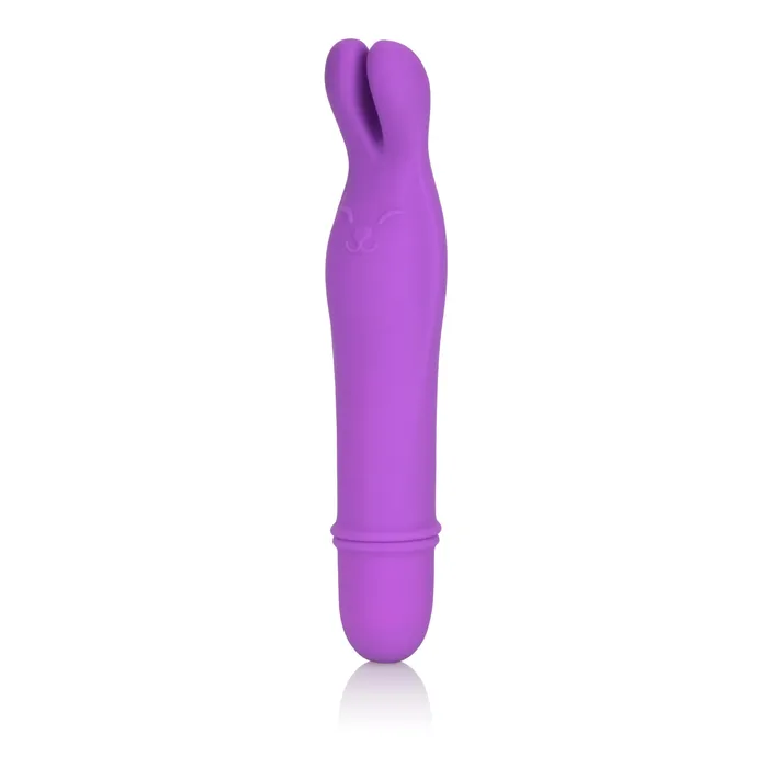 CalExotics Shane's World Bedtime Bunny | Vibrators CalExotics Shane's World Bedtime Bunny | Vibrators