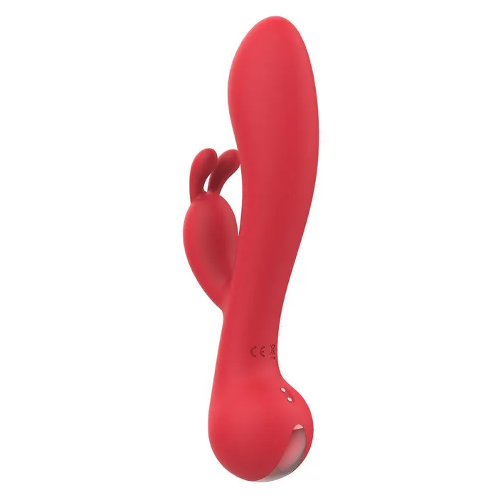Dream Toys Vibrators | Amour Rabbit Vibe Camille