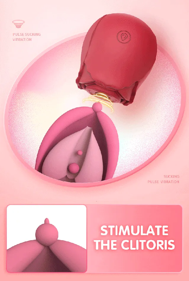 Vibrators | Blissful Delirium Ohh Rose 2